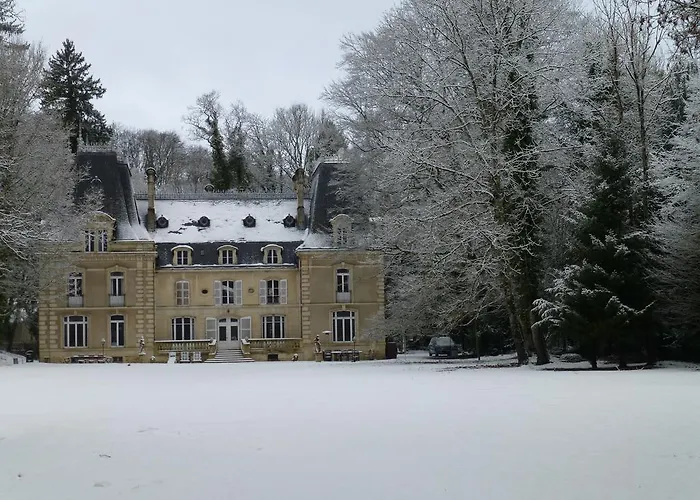 Chateau De La Raffe Prázdninový dům Naix-aux-Forges